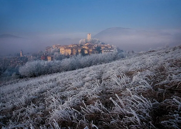 Feltre House